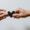 A Guide to Elderly Care Support in West Sussex