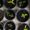 Horticultural Therapy and its Benefits
