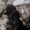 How Pets Help Elderly People