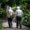 Tips on Staying Active for Elderly People