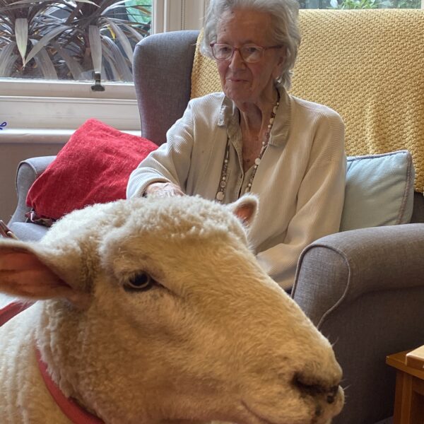 Victoria Grand Activities