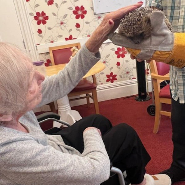 Victoria Grand Care Home Activities