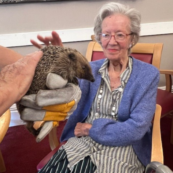 Victoria Grand Resident Activities