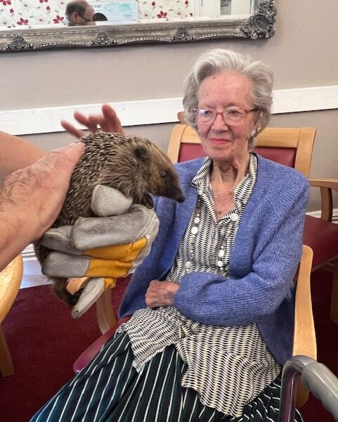 Victoria Grand Activities