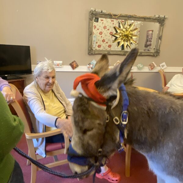 Victoria Grand Activities