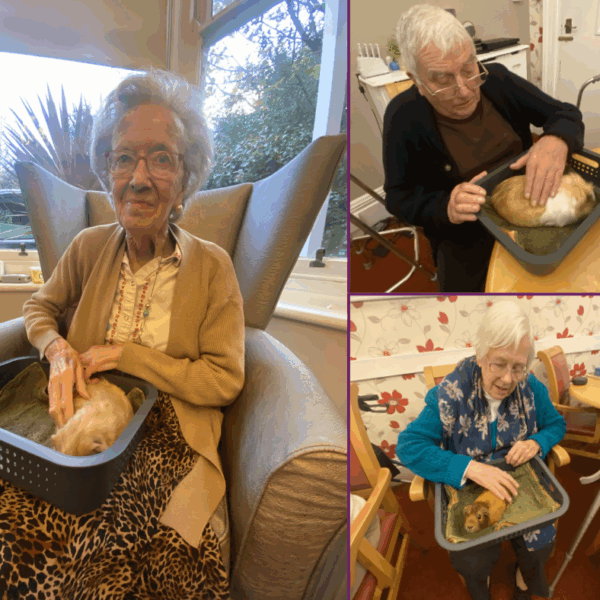 Victoria Grand Activities