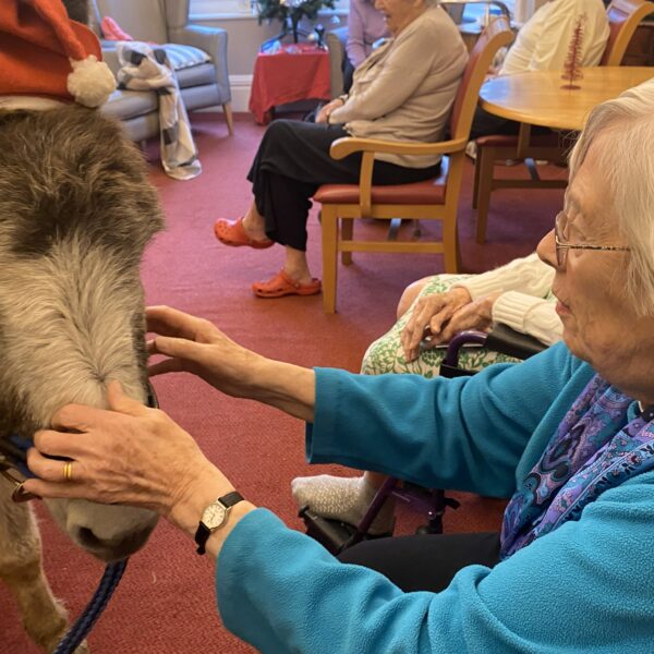 Victoria Grand Resident