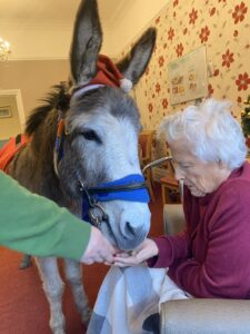 Victoria Grand Resident Activities