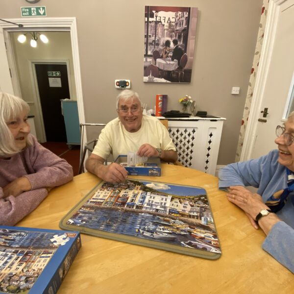 Resident Activities Puzzles