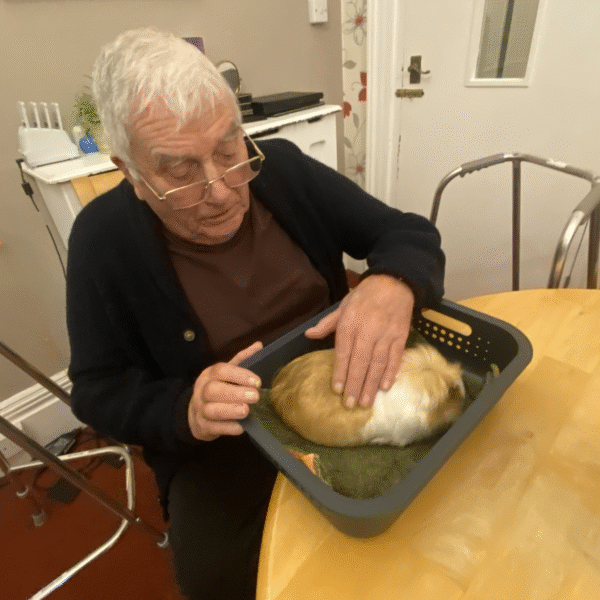 The Victoria Grand Resident Activities