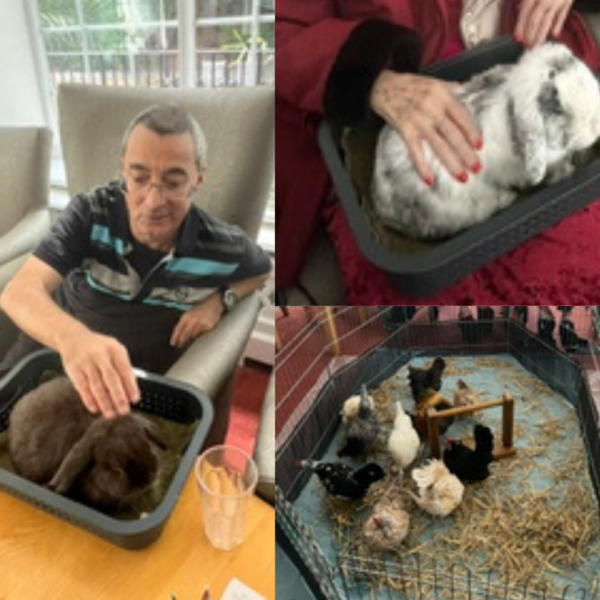 The Victoria Grand Residents